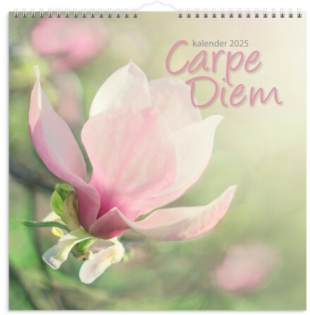 Vggkalender 2025 Carpe Diem