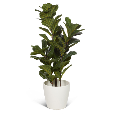 Konstvxt ficus lyrata 100cm