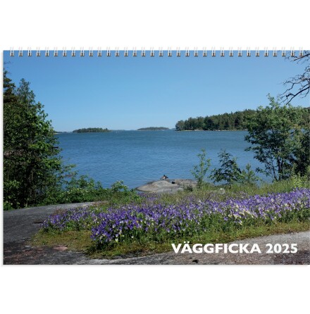 Vggkalender 2025 Vggficka